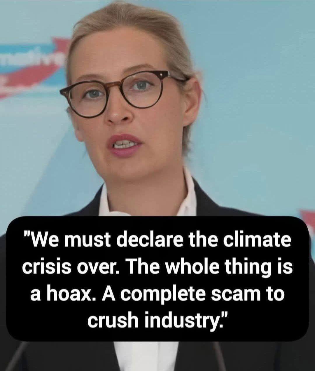 Meme image quoting Alice Weidel on climate crisis